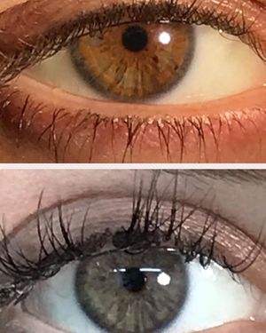 Image post by @irexlaser on Instagram