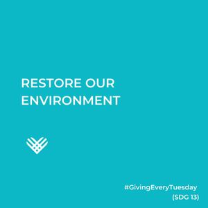 Image post by @givingtuesday on Instagram