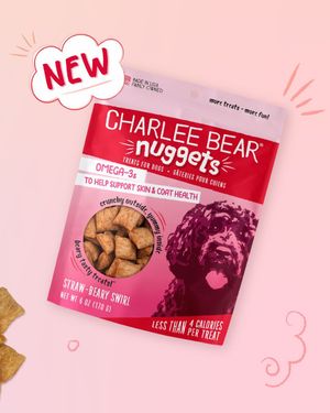Image post by @charlee_bear_dogtreats on Instagram