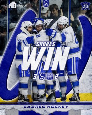 Image post by @sartellboyshockey on Instagram