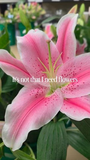 Video post by @reedsflorists on Instagram