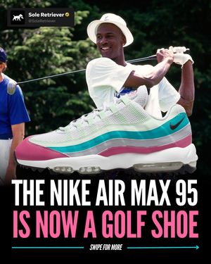 Image post by @soleretriever on Instagram