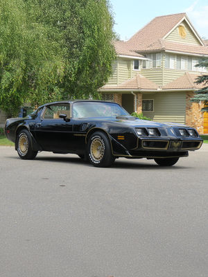Video post by @barrettjacksontv on TikTok