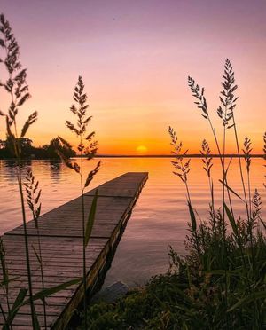 Image post by @fernresort on Facebook