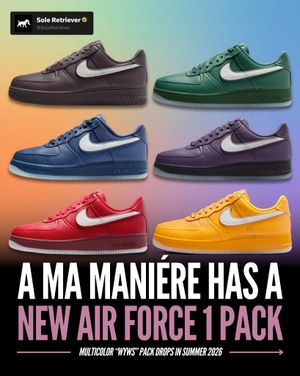 Image post by @soleretriever on Instagram