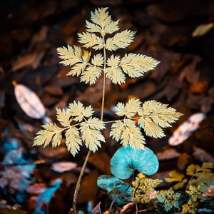Image post by @cristan.nature.photography on Instagram