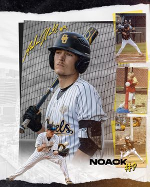 Image post by @gopetrelsbsb on Instagram