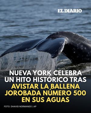 Image post by @eldiariony on Instagram