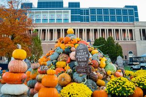 Image post by @illinois_alumni on Instagram