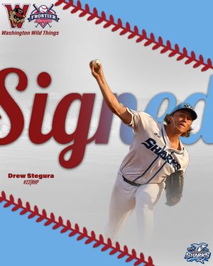 Image post by @ilmsharks on Instagram
