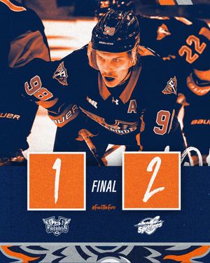 Image post by @flintfirebirds on Instagram