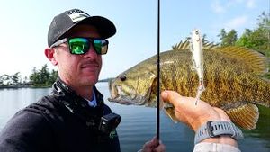Video post by @lakeforkguy on YouTube