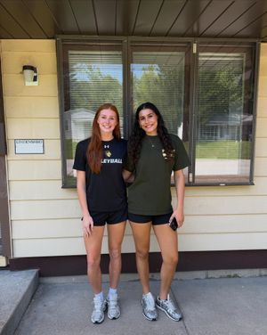 Image post by @lindenwoodwvb on Instagram