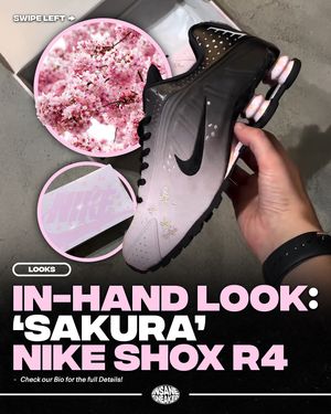 Image post by @insanesneaker on Instagram