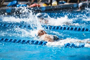 Image post by @nsu_swim on Instagram