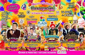 Image post by @pelillosdeculiacan on Instagram