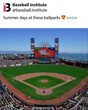 Image post by @baseball.institute on Instagram