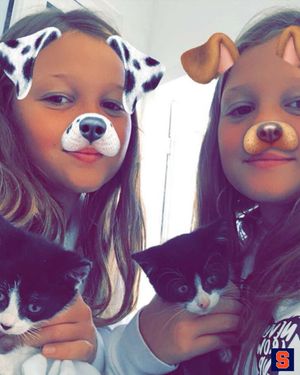 Image post by @cusefh on Instagram