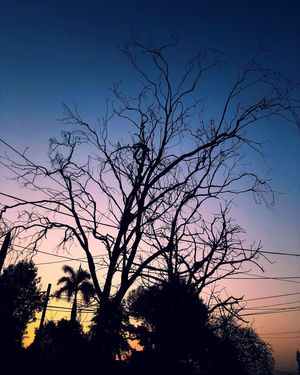 Image post by @malirao on Instagram