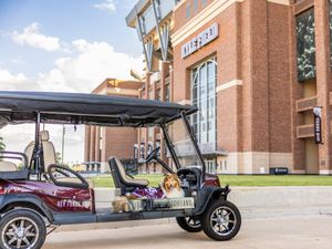 Image post by @reveille on Twitter