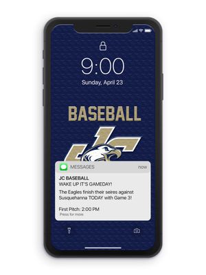 Image post by @JuniataBaseball on Twitter