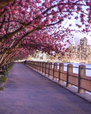 Image post by @nyhiltonmidtown on Instagram
