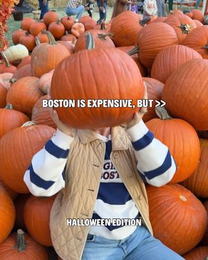 Image post by @bostonwithemily on Instagram