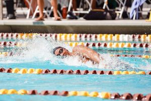 Image post by @sundevilswimdive on Instagram