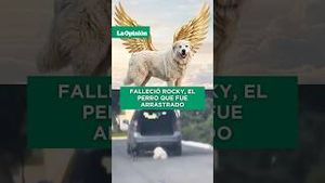 Video post by @laopinionla on YouTube