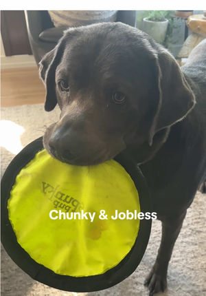 Video post by @hayleylewis_sports on TikTok