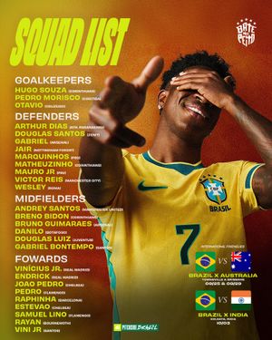 Image post by @pitchsidebrazil on Instagram