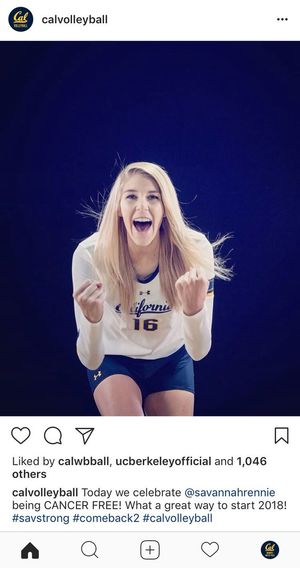 Image post by @CalWWPolo on Twitter