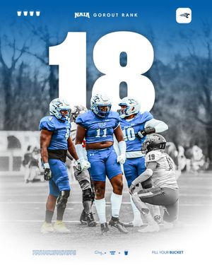 Image post by @usf_fb on Twitter