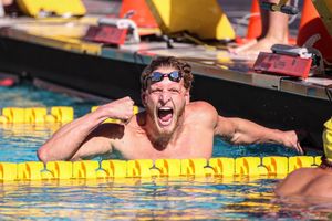 Image post by @mitochondria_house on Instagram