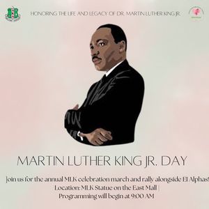 Image post by @texas_akas on Instagram