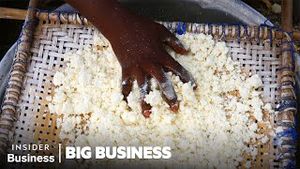 Video post by @insiderbusiness on YouTube