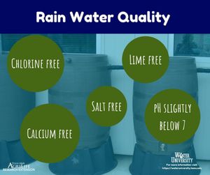 Image post by @txextension on Instagram
