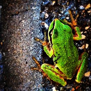 Image post by @stantonhunterphoto on Instagram