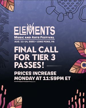 Image post by @elementsfestival_ on Instagram