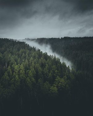 Image post by @kszczuka on Instagram