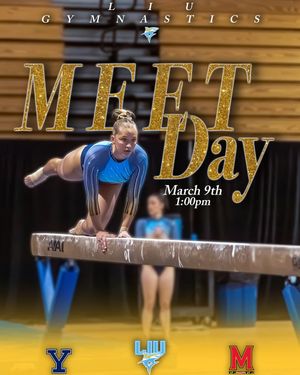 Image post by @liuwgymnastics on Instagram