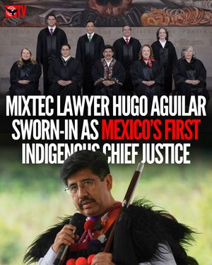 Image post by @indigenous.tv on Instagram