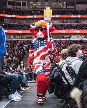 Image post by @bennythebull on Instagram