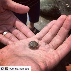 Image post by @worldscifest on Instagram