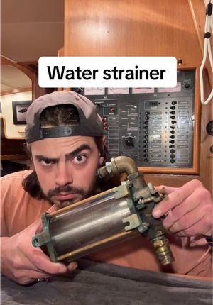 Video post by @sailing_with_phoenix on TikTok