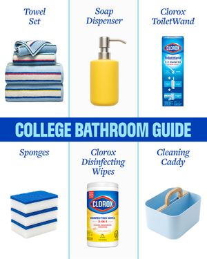 Image post by @clorox on Instagram