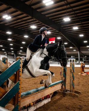 Image post by @raytrykacreative on Instagram