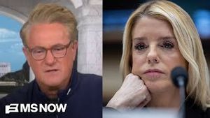 Video post by @msnbc on YouTube