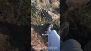 Video post by @ford on YouTube