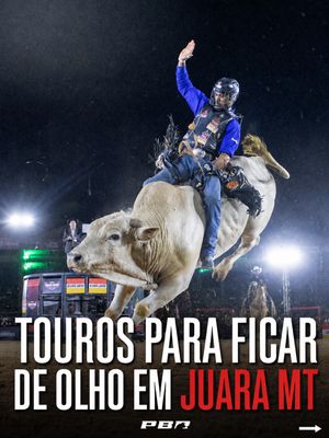 Image post by @pbrbrazil on Instagram